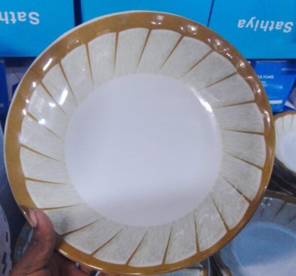 12 PCS ELEGANT MELAMINE PLATES